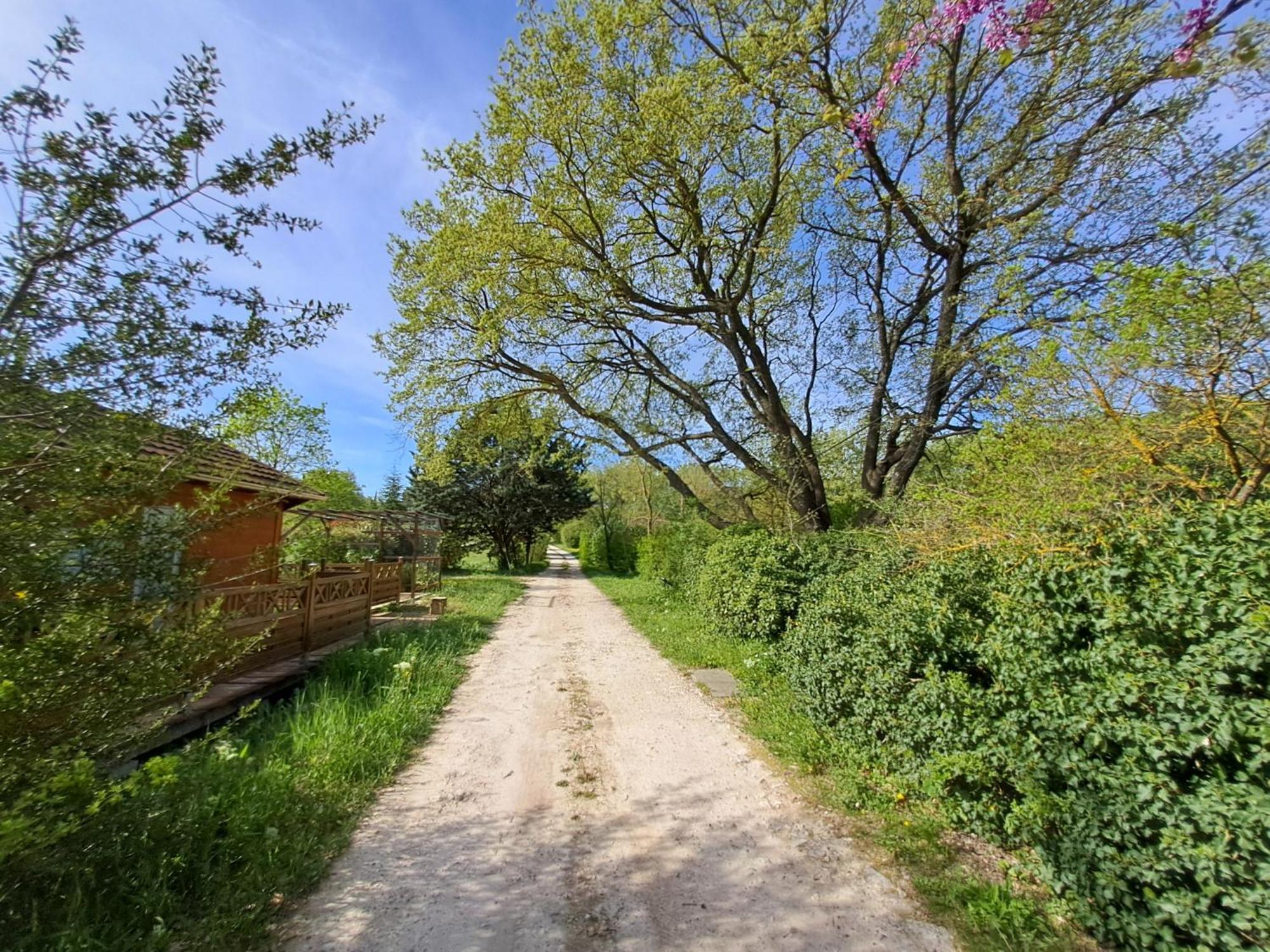 Villa Aix-En-Provence Zewnętrze zdjęcie